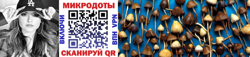 Псилоцибиновые грибы Cubensis  купить наркотик  kraken зеркало  Первоуральск 